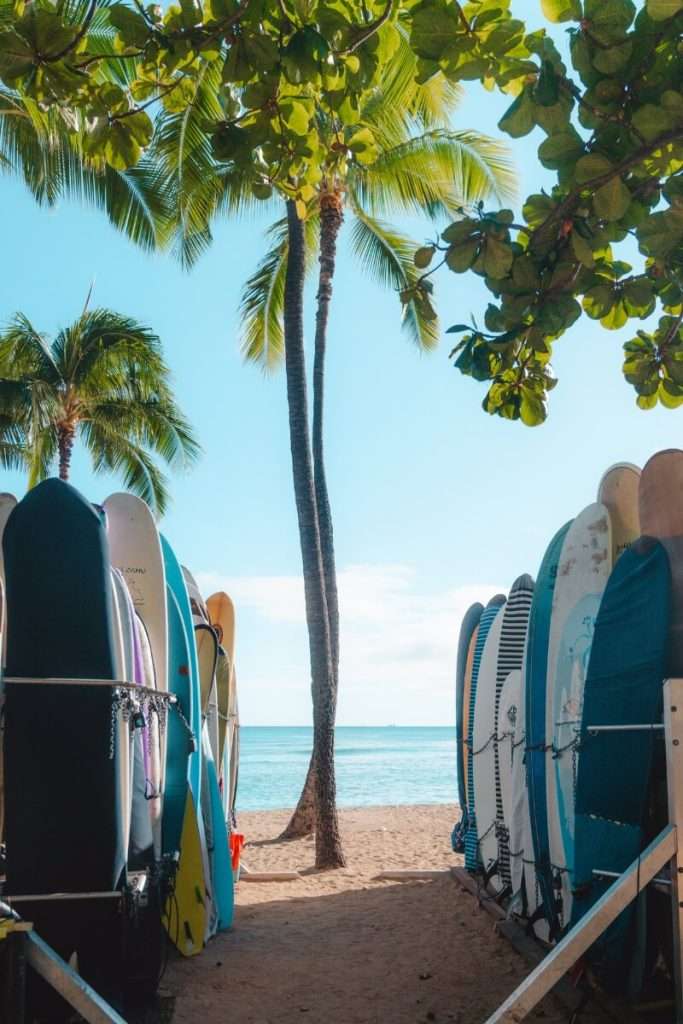 surf boards on a beach in honolulu